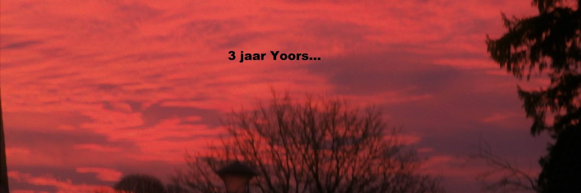 Na 3 jaar Yoors : ik denk nog steeds ... in blogs ! | enigma