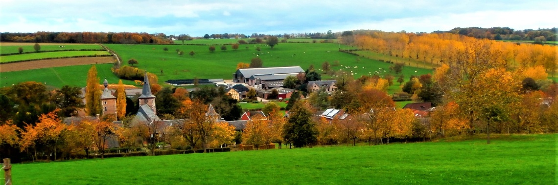 November-walks, covered by autumn colours | enigma