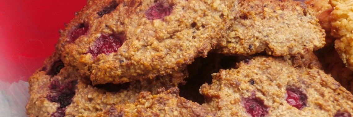 Ontbijtkoekjes met fruit (zonder bloem, zonder ei, zonder melk, zonder toegevoegde suikers !) | enigma