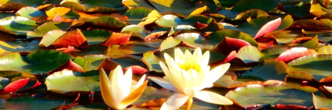 Portugal : dag 1 : Zaventem-Lissabon-Oeiras | enigma