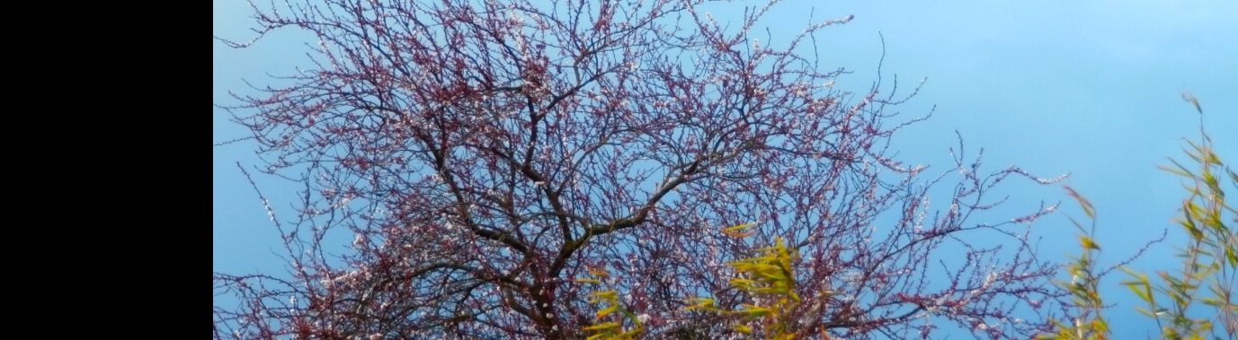 Smeer jij ook hormoonverstoorders op je huid ? Doe de test ! | enigma