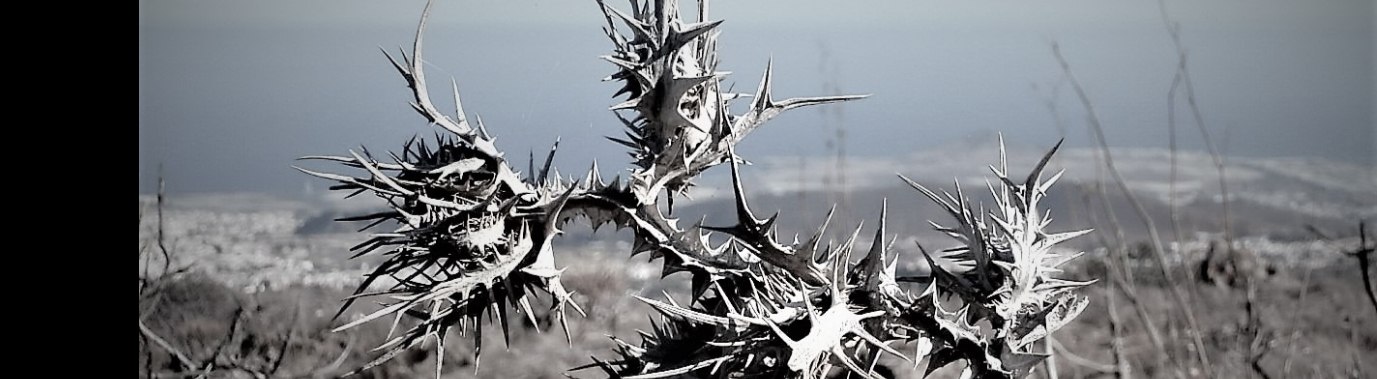 Toxic Beauty : we smeren ons echt ziek ! | enigma