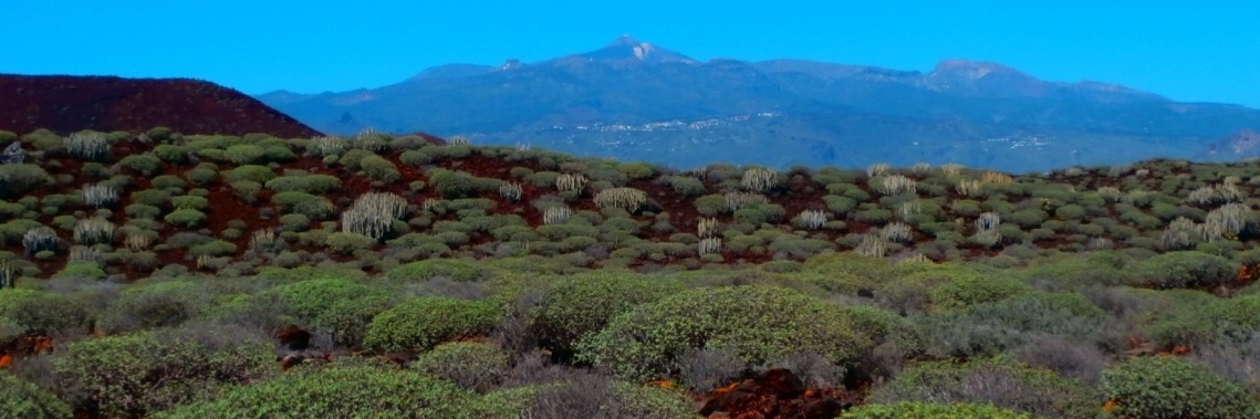 Wandelen door het echte kustlandschap van Tenerife. | enigma