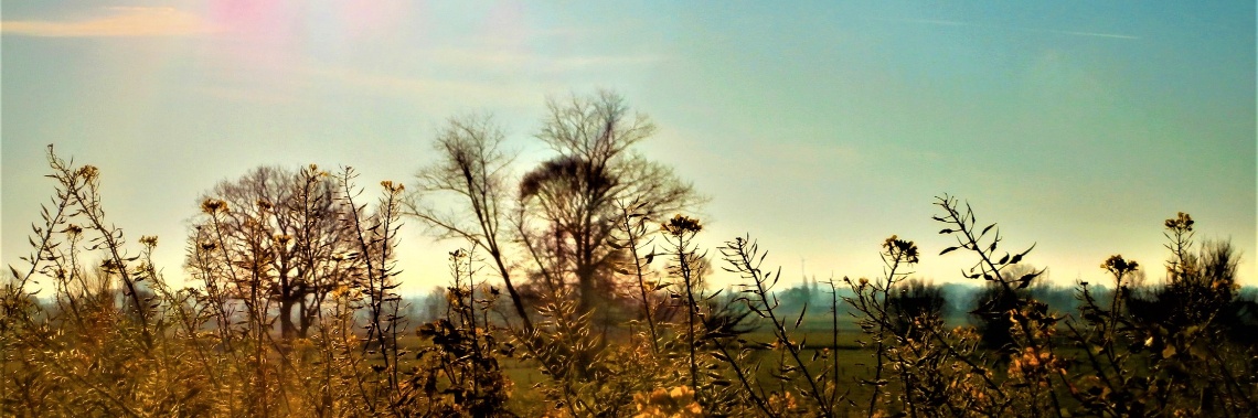 Wandelen in het hart van West-Vlaanderen : Heihoekwandelroute Lichtervelde | enigma