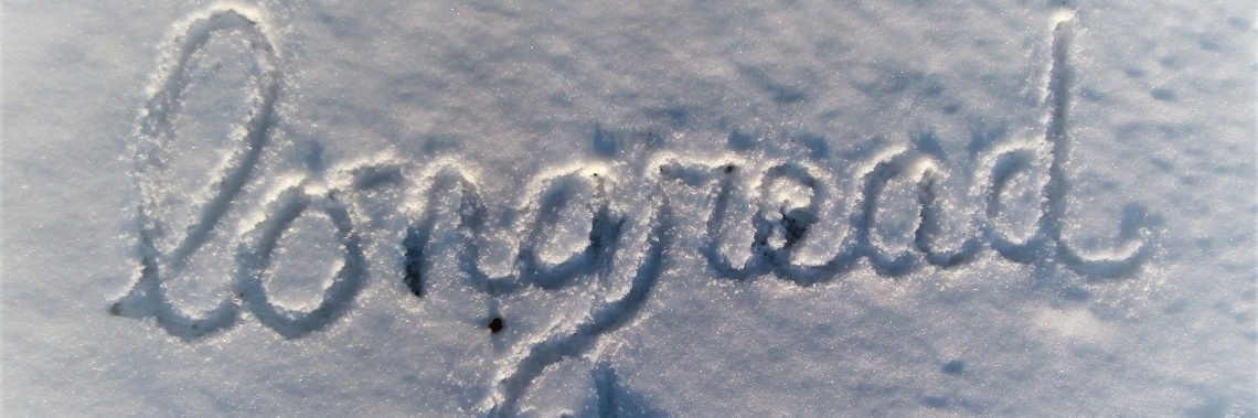 What you need to know about the term “longread “... | enigma