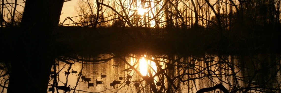 Wat was het weer mooi bij de plaatselijke poel ! | enigma