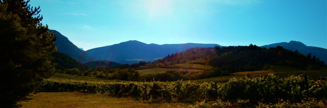 Summer in France - day 15 (rest day) and 16: from Eygalières to Aurel | enigma