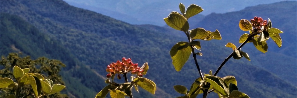 Zomer in Frankrijk - dag 18 : bergwandeling 'Les trois Becs' | enigma