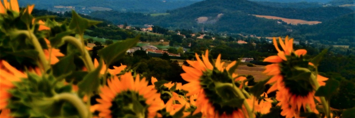 Zomer in Frankrijk - dag 20 : wandeling vanaf 'Tour de Crest'. | enigma