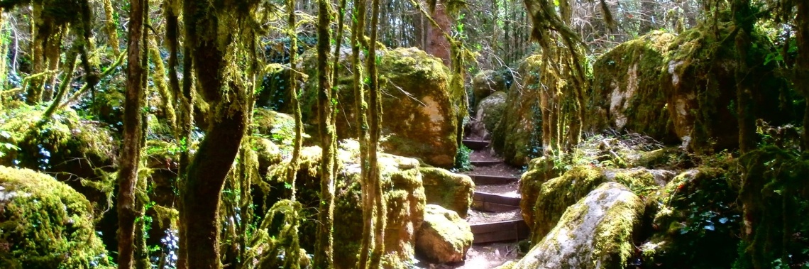 Zomer in Frankrijk - dag 7 : Rennes-le-Château en Nebias | enigma