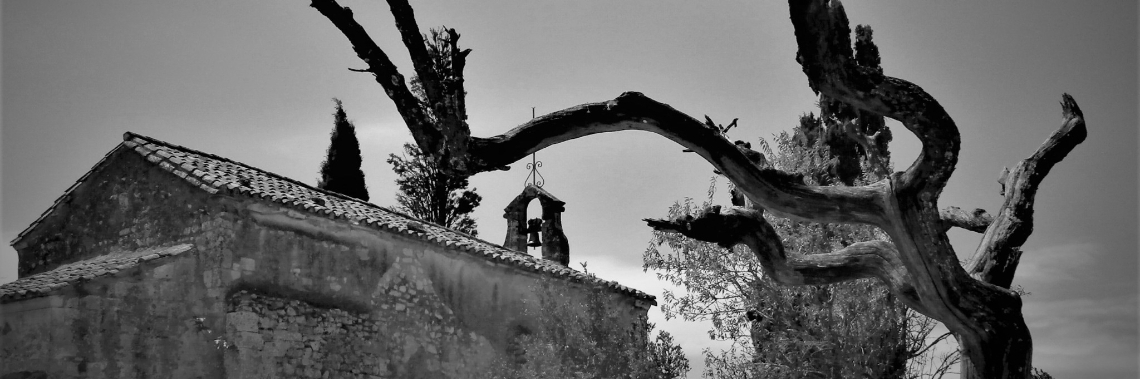 Black and white in landscapes - part 2 | enigma