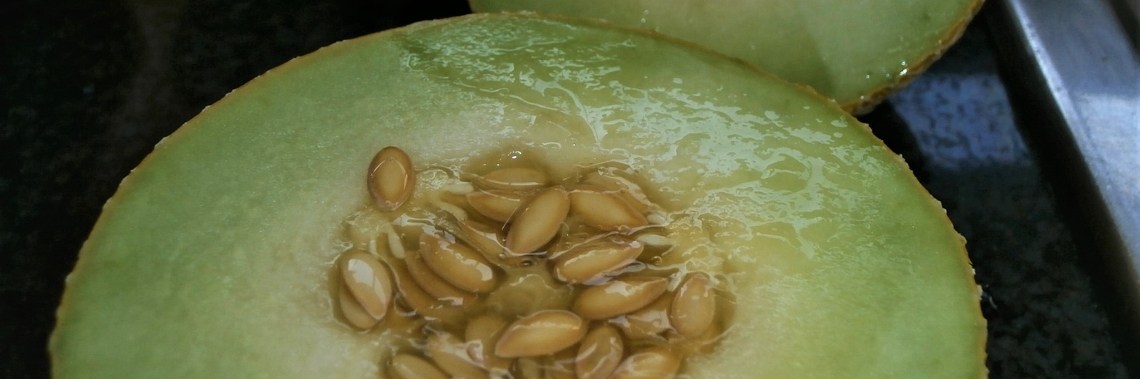 Zelf vruchten kweken  in potten : een groot succes ! | enigma