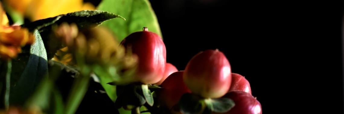 Een beetje herfst binnen in huis... | enigma