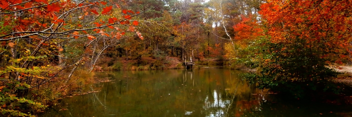 De kleurenexplosie van de herfst | enigma