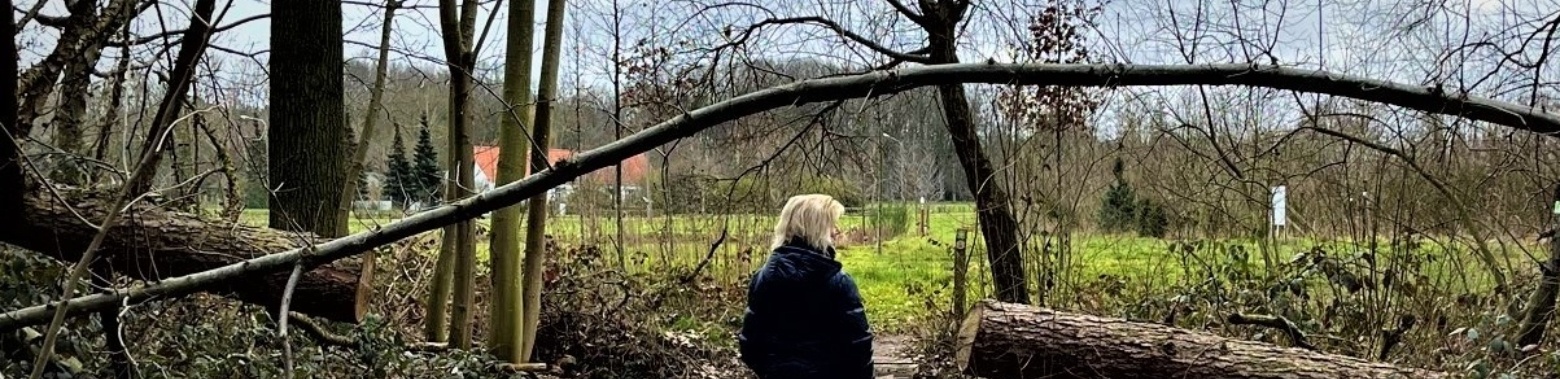 Sunday afternoon - walk | enigma