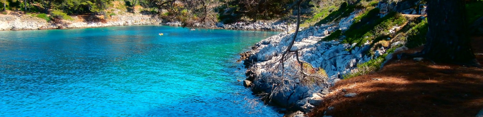 Reisblog dag 13 : het eiland Losinj, Kroatië | enigma