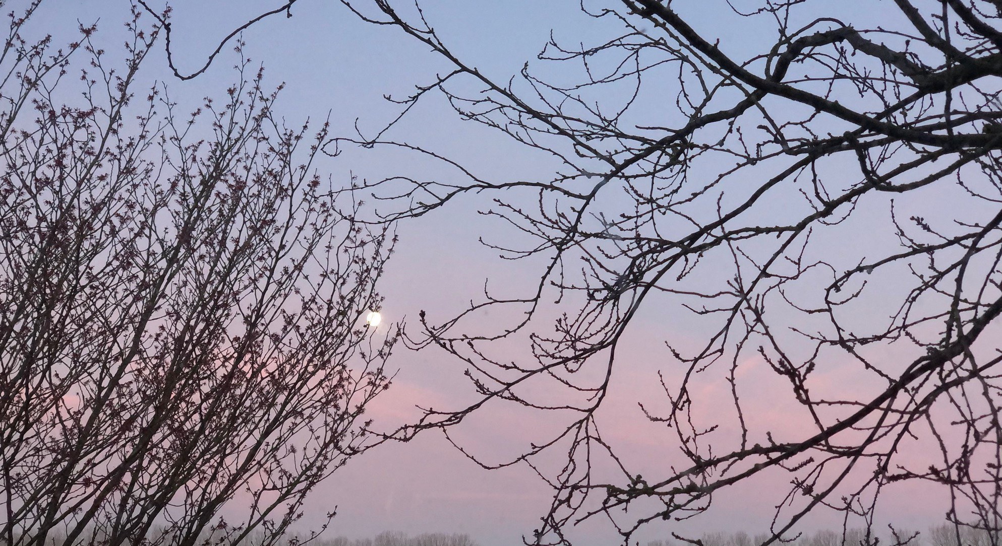 Ode aan de maan... | enigma