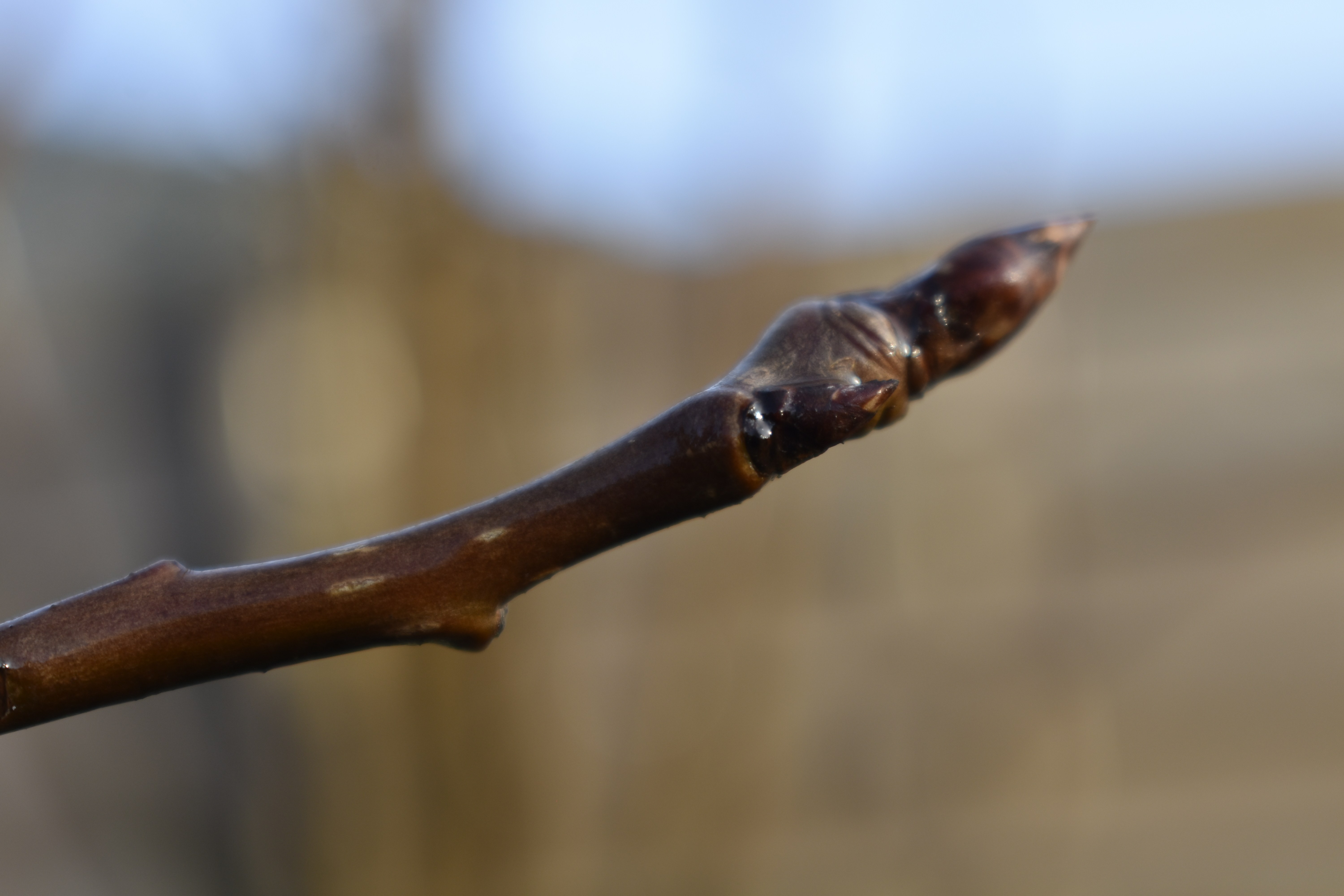 Het nut van februari... | enigma