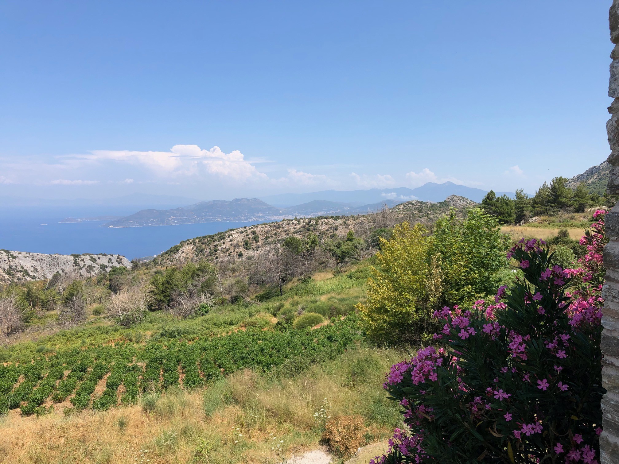 Vourliotes: Een verborgen parel op Samos | enigma