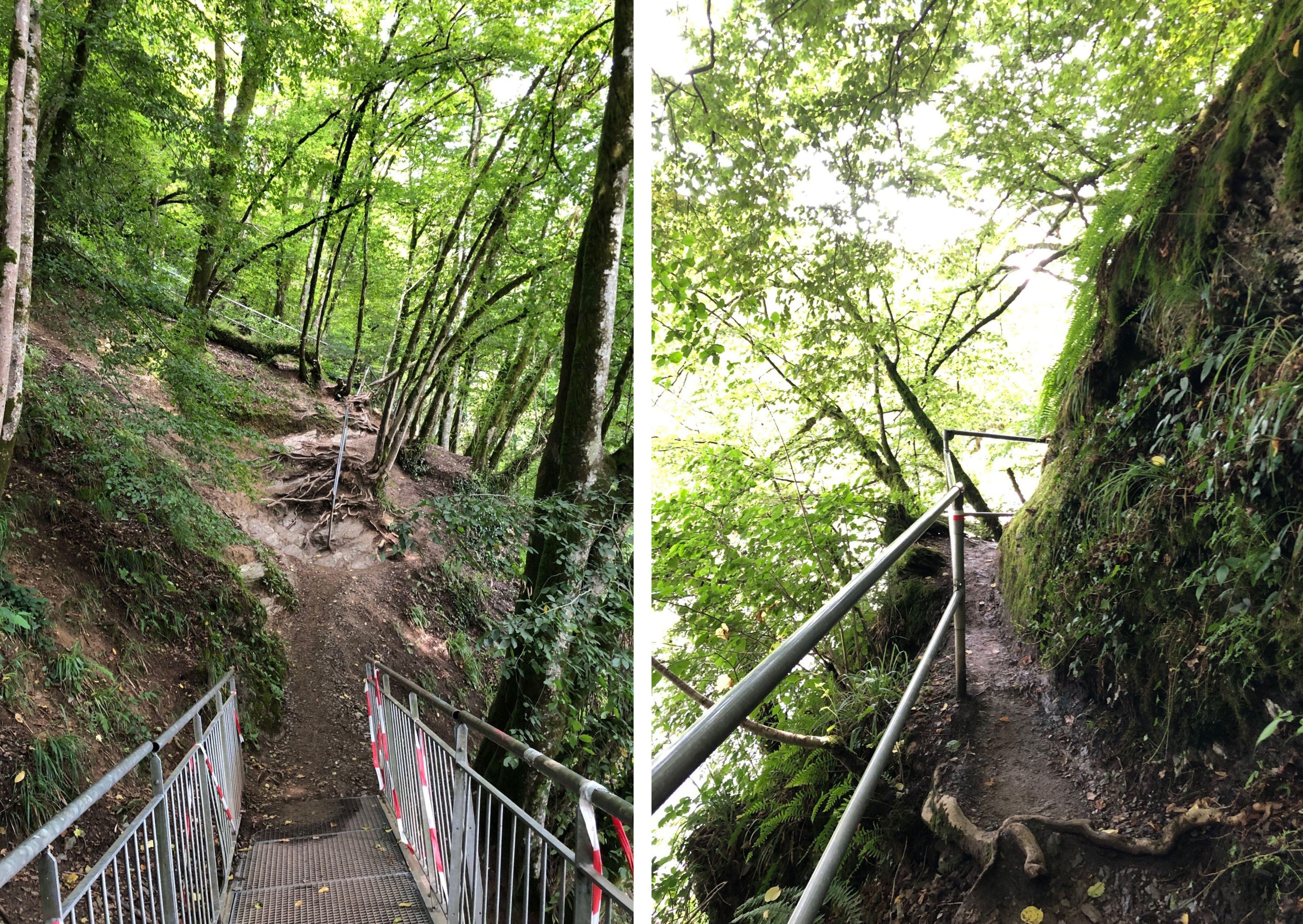 The Ladder Walk in Rochehaut: An adventurous challenge in the Ardennes | enigma