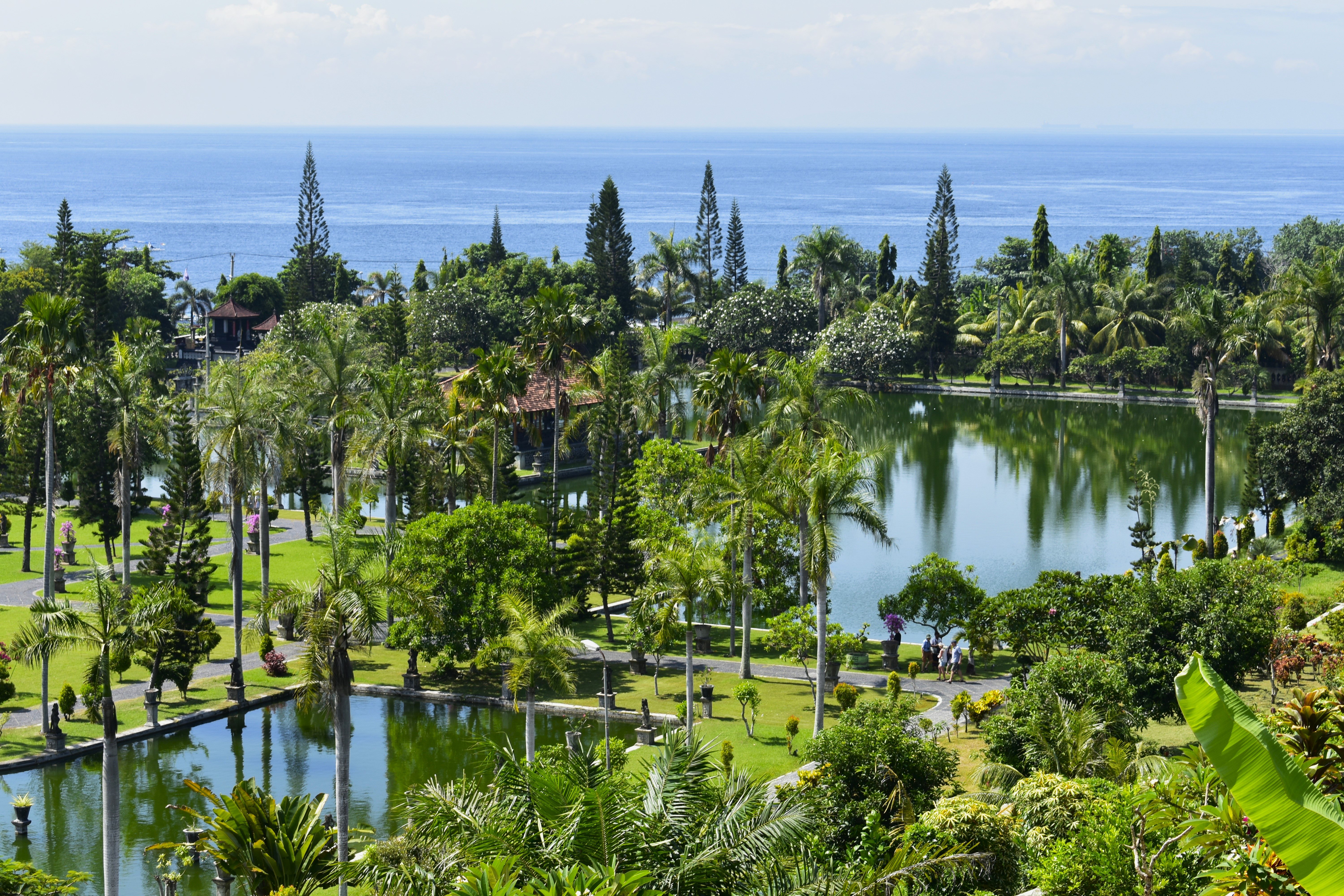Bali : het eiland van water en groen. | enigma