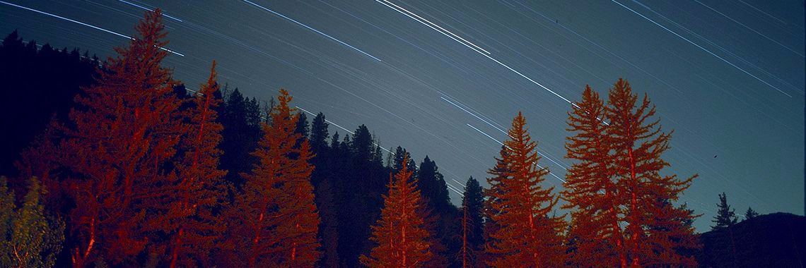 Het laatste jaar: Hoofdstuk 2 | Lisa van Rooy