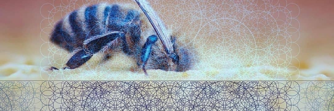 ~ The ancient Bee Goddess ~ | Chuen Evi Odette