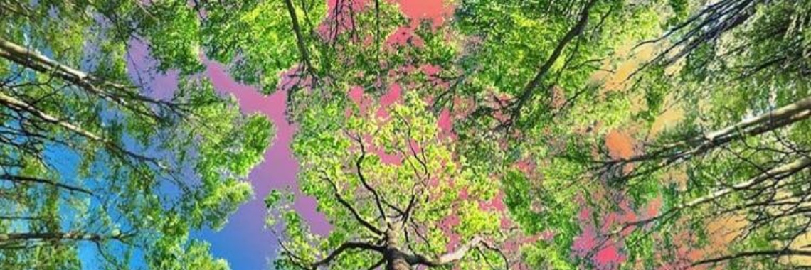 We zijn allemaal met elkaar verbonden | Chuen Evi Odette