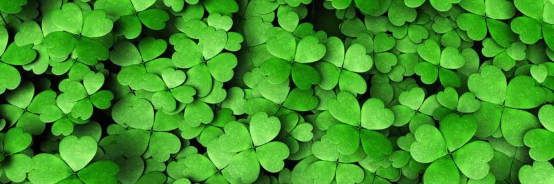 Het klavertje vier - aanrader | Katrien