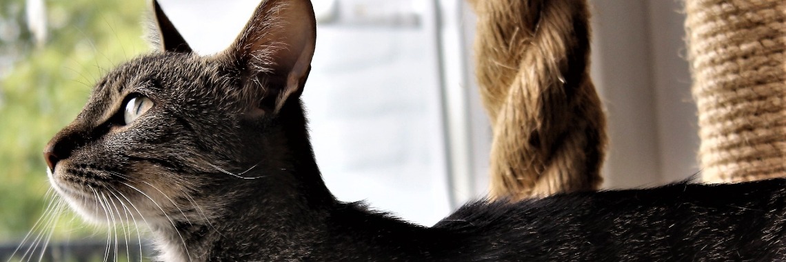 Haar naam is Lucy | RealityRealm