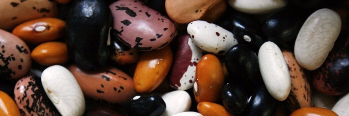 Een boontje voor peulvruchten | Candy