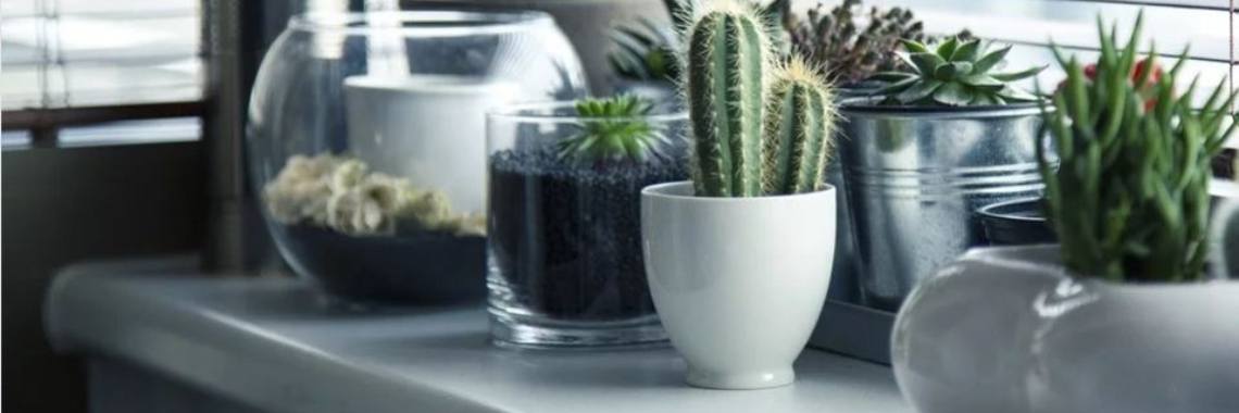 Tips om meer te bewegen tijdens de strenge Corona maatregelen | Candy