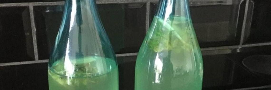 Zelf kombucha maken | Candy