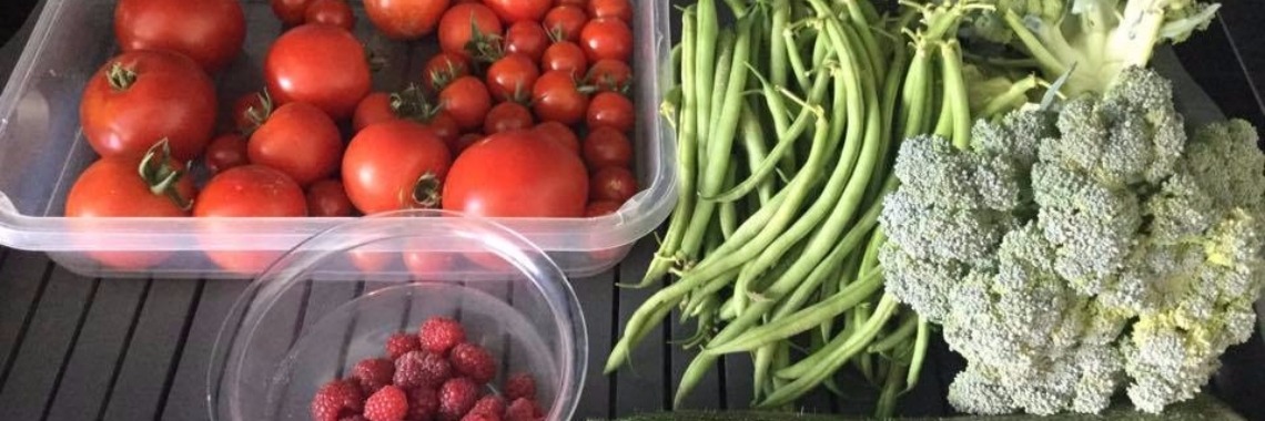 Mijn oogst uit mijn tuin | Candy