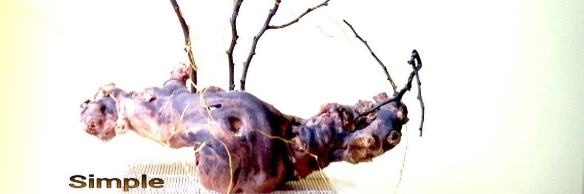 DIY na een storm. | I love to draw