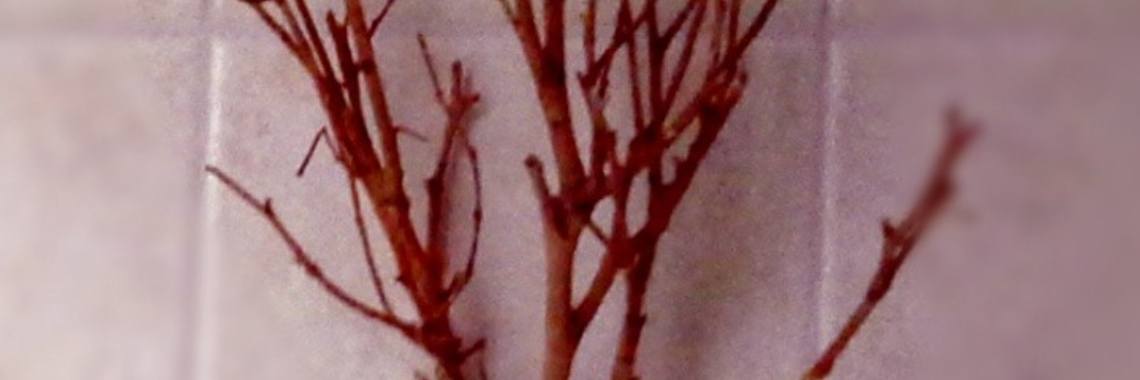 Tak met taak... | I love to draw