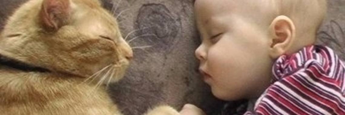 De Leukste Vaderdag Cadeaus | TipsVoorOuders