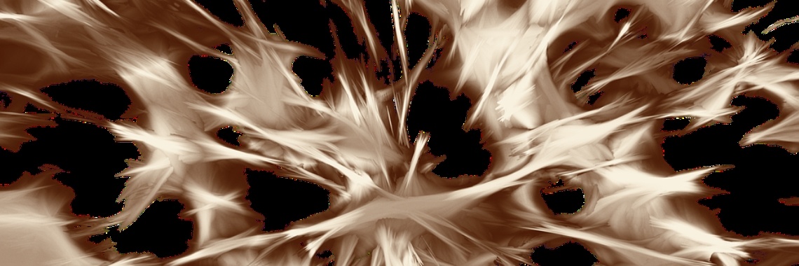 Bevrijd in een ander daglicht | Miranda Tabor