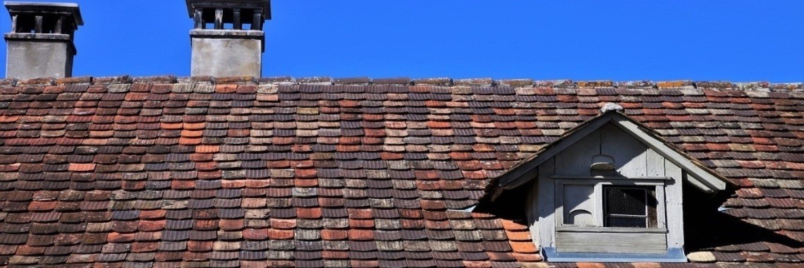 De schim (part 10) | Miranda Tabor