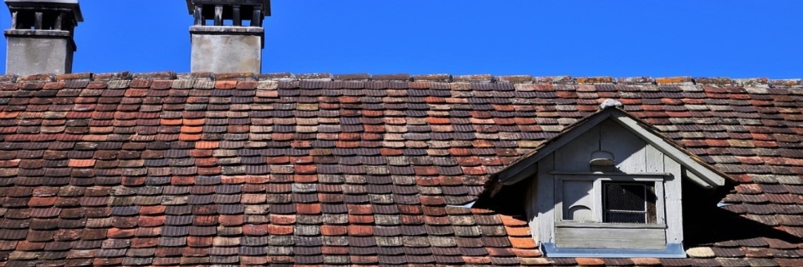 De schim (part 4) | Miranda Tabor