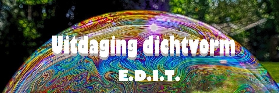 Dichten brengt je dichter bij elkaar. | Miranda Tabor