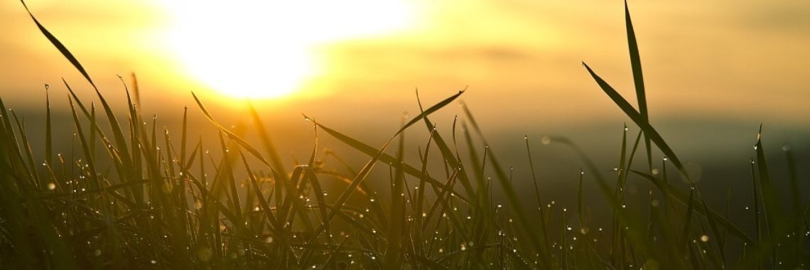 Elke morgen (see wakes me up) | Miranda Tabor