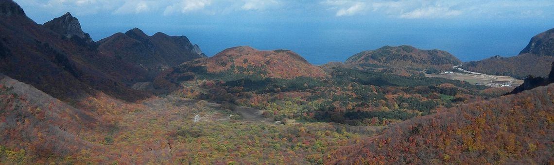 Het gevangen profiel van 1960-1980 | Miranda Tabor