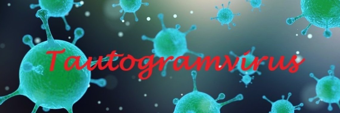 Knallen met een K | Miranda Tabor