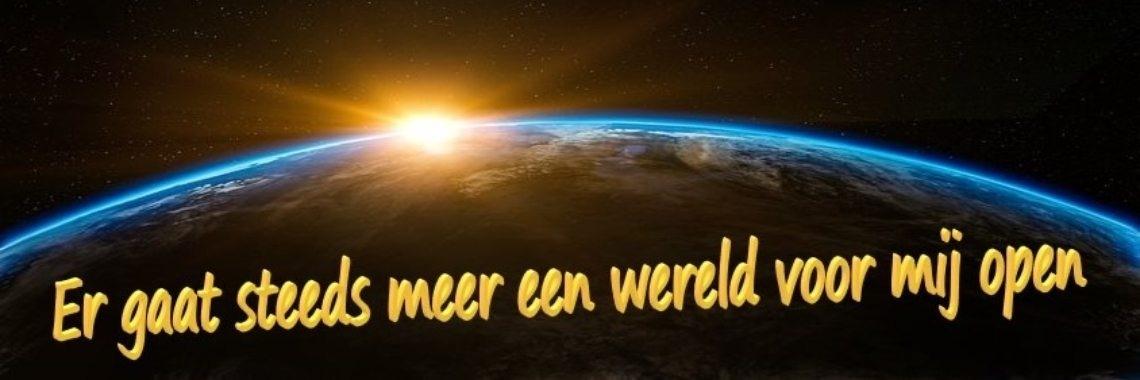 Lanterfanters met een baan. | Miranda Tabor