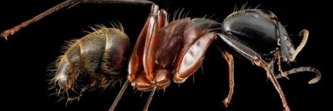 Opstaan en weer doorgaan | Miranda Tabor