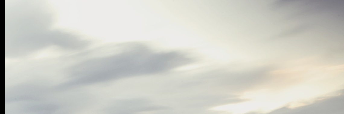 Rampzalig of niet? | Miranda Tabor