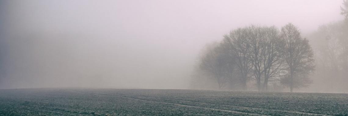 Wiel-web bouwend dekken zij de tafel. | Miranda Tabor