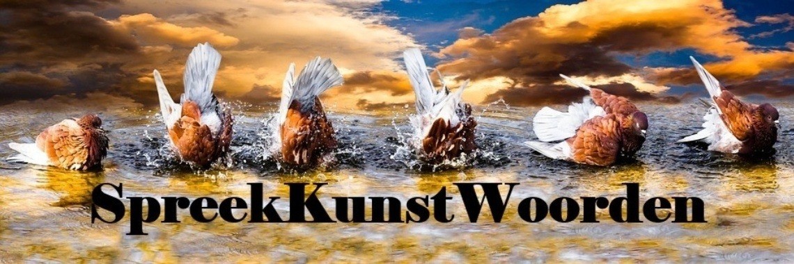 Zes is het scheepsrecht van de toekomst. | Miranda Tabor