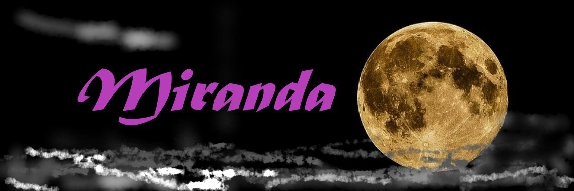 Tranendal (taaljaaruitdaging) | Miranda Tabor